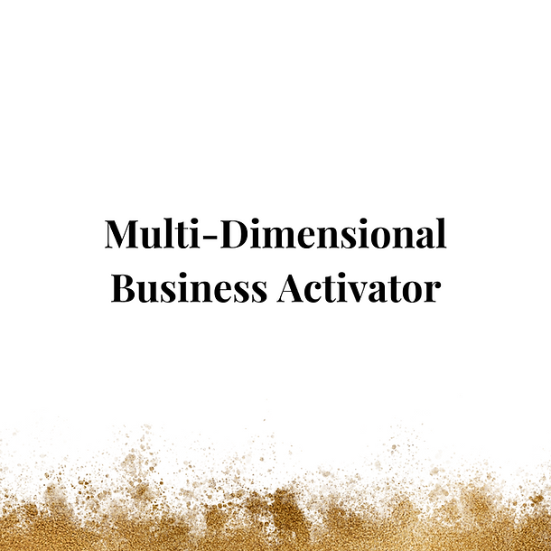 Multidimensional Business Activator, MBA